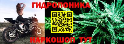 шишки Пушкино